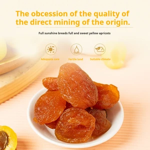 Best Selling Sweet Taste Dried Apricot Wholesale Quality Dried Apricot Fruits for Sale
