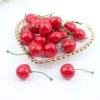 Frutto Rosso Singolo
