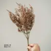 Coffee-colored human grass