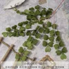 FS - 9 Heart-shaped Pieces - Green