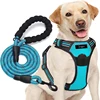 Blue Dog Harness Set