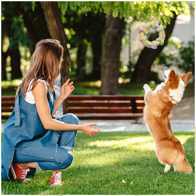 Pet Toy Dog Gnawing Leaky Food Toy Cat Dog Gnawing Teeth Grinding Boredom Environmental protection No Odor manufacture