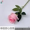 Un solo amor WY rosa