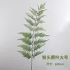 Hoja de helecho con cabeza de mono de gran tamaño, 180 cm.