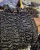 burmese curly