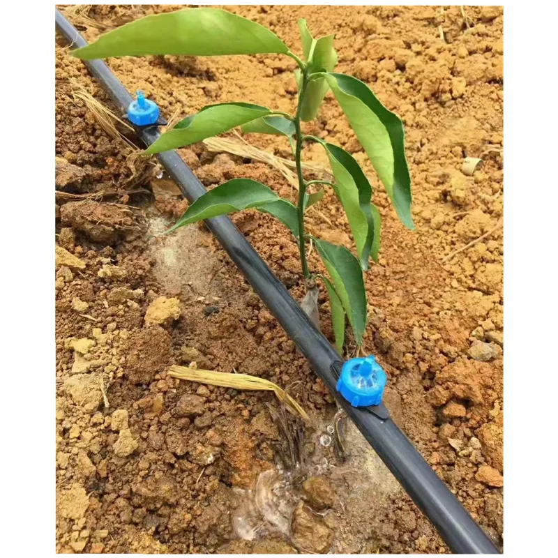 Farm Fields Irrigation Dripper Nipples Oranges Trees Drip Irrigation Systems Drip Emitter