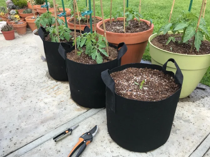 1 2 3 5 10 15 20 Gallon Grow Bag Planting Vegetables Planter Tree Seeding Pots Flower Pot Fabric Plant Grow Bags Hbed9090e452f4542aa8e355c968c55c2m