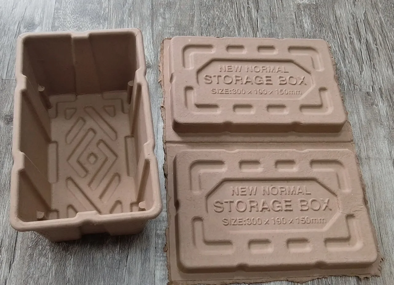 Custom Paper Pulp Packaging Container Box Molded Pulp Box with Lid of Recycled Paper Material