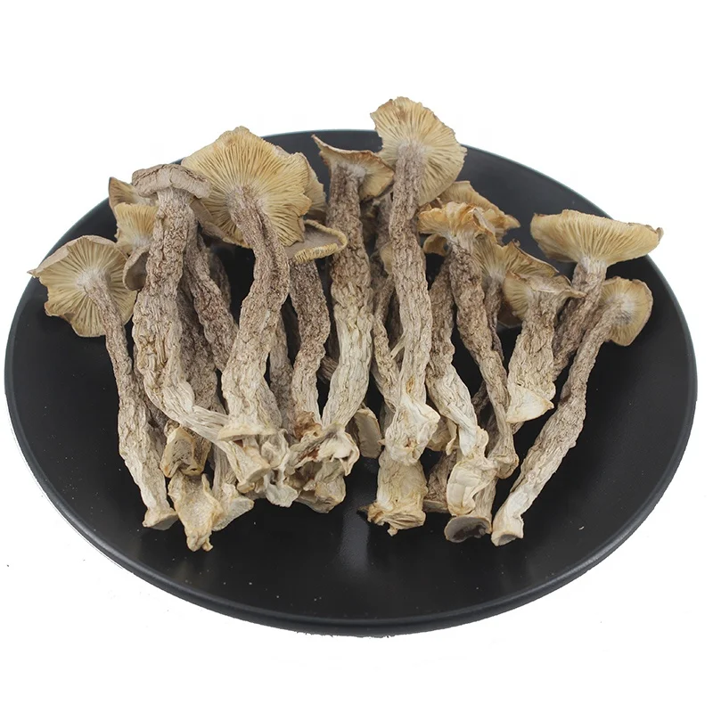 鹿茸 200g 高品质干天然鹿茸蘑菇鹿茸出售| Alibaba.com