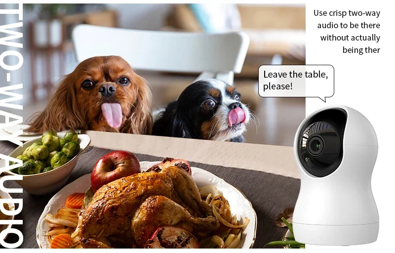 Golden Vision smart PT Camera 3mp smart wifi camera 2way audio with TUYA app smart home ip camera
