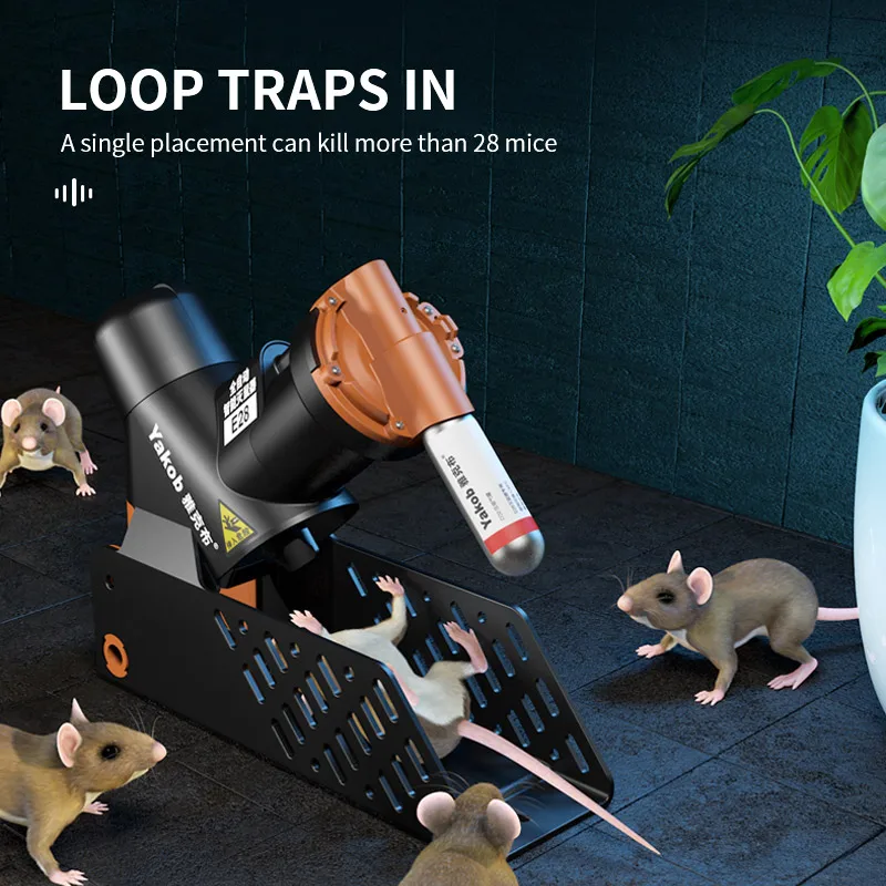 How Often Should You Change Mice Trap Bait? - Permakill Exterminating
