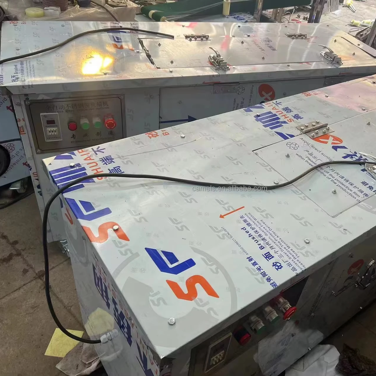 Multispecies Fishery Automatic Fish Scale Process & Cleaning Machine ...