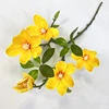Yellow 07