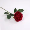 Rosa de terciopelo [rojo]