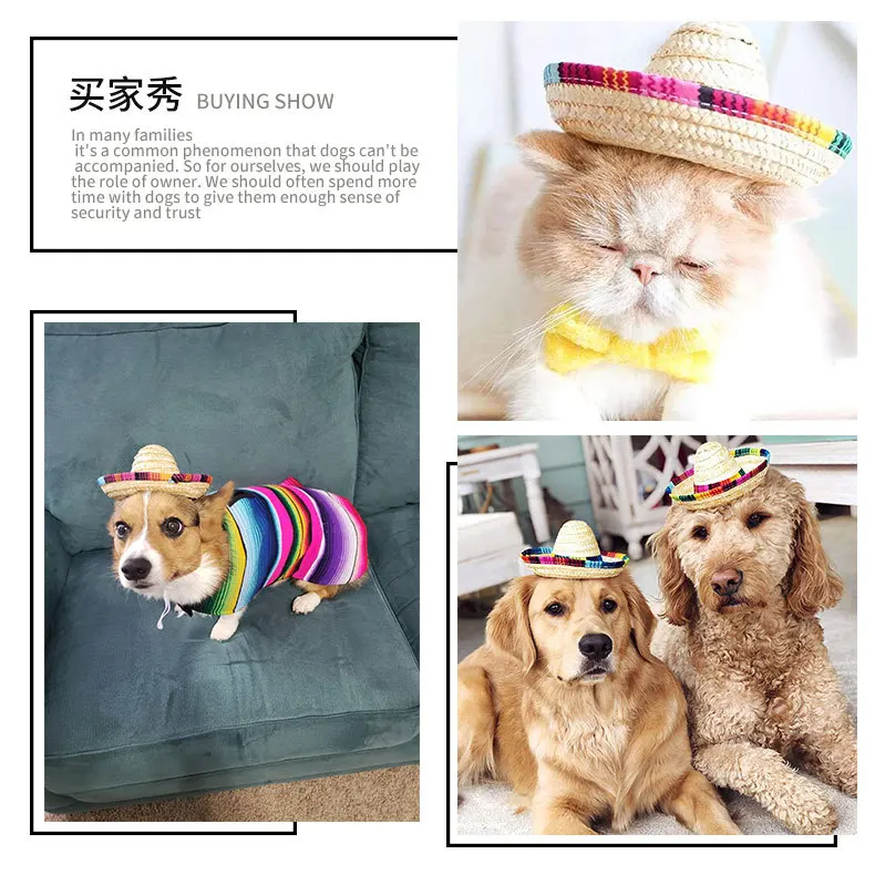 Pet Dog Cat Mini Sombrero Mexican Straw 