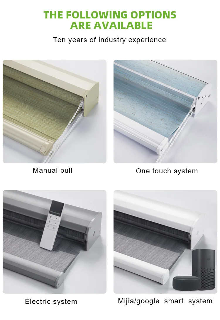 smart home voice app control automatic Electric roller blind motorized shutter Double layer blackout Motorized zebra blinds