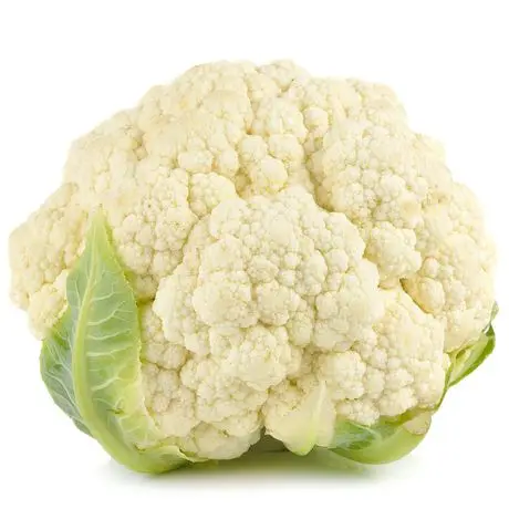 export natural hot selling good chinese fresh white cauliflower
