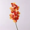 Arancione
