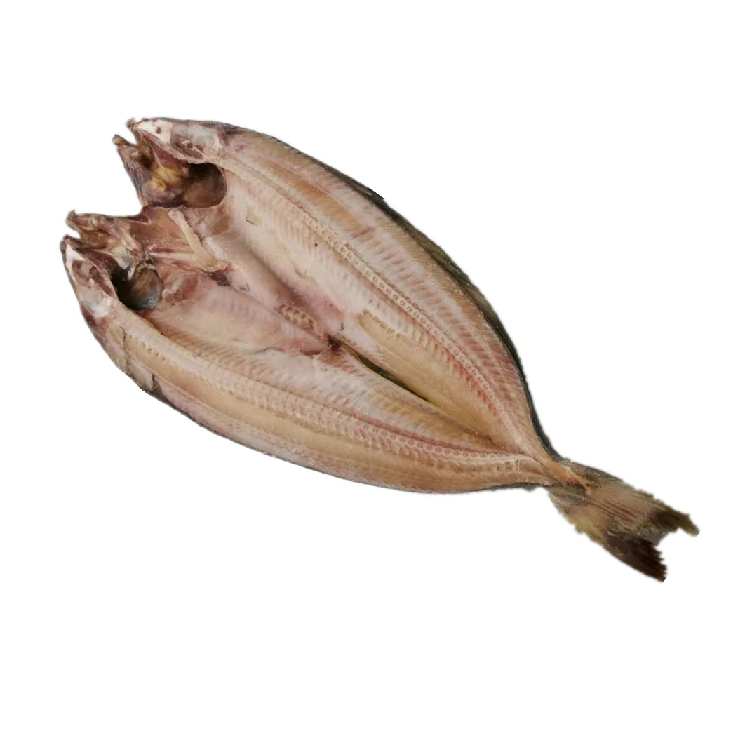 hot sale one night dried fish frozen ataka mackerel head on