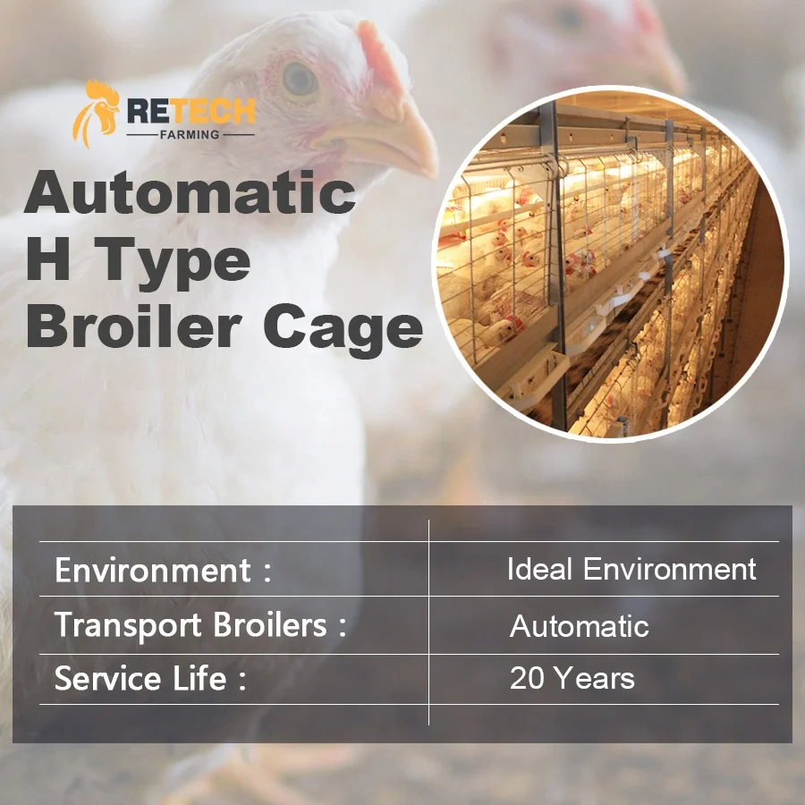 Hot Sale Automatic Broiler Chicken Cage Poultry Equipment for Broiler Farm