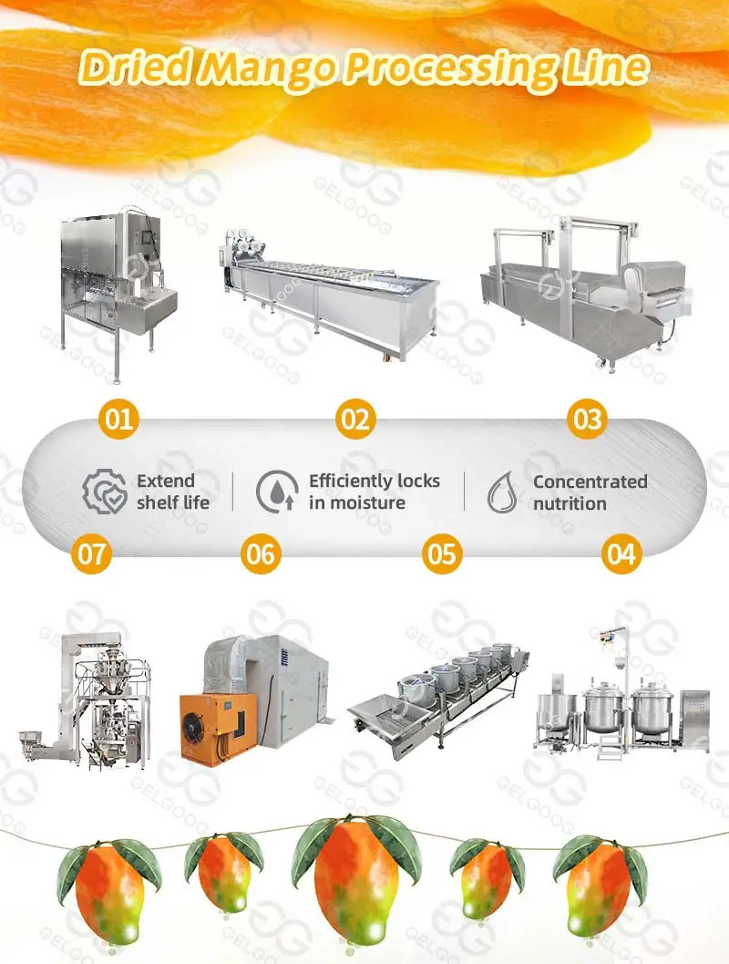 Gelgoog Dried Fruits Processing Line Vegetable Drying Machine Automatic ...
