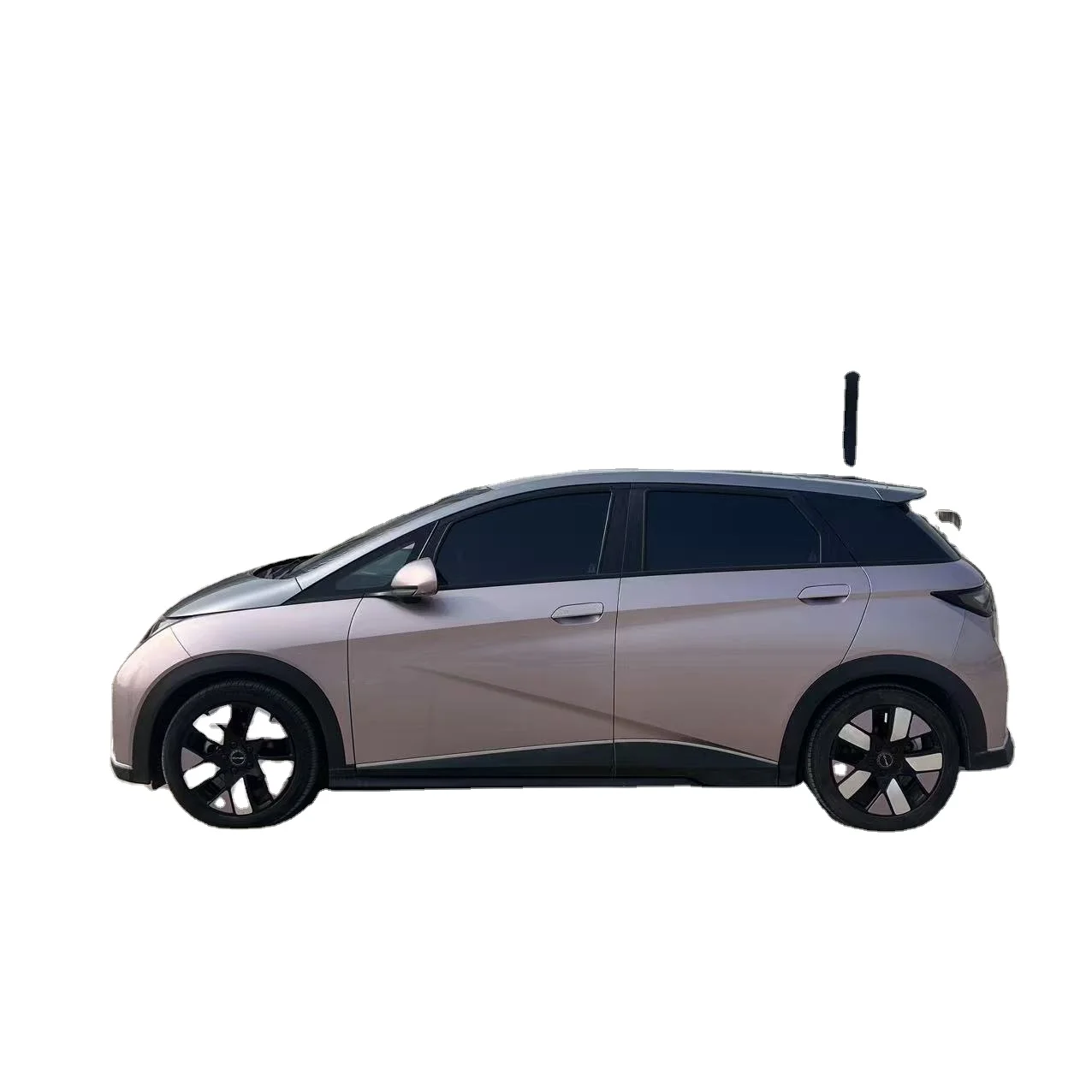  BYD Dolphin 2021 Knight Edition