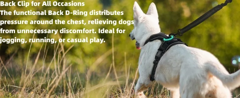 Hot Selling Nylon Outdoor Dog Harness Leash Suitable for Small Medium Large Dogs Pet Products factory