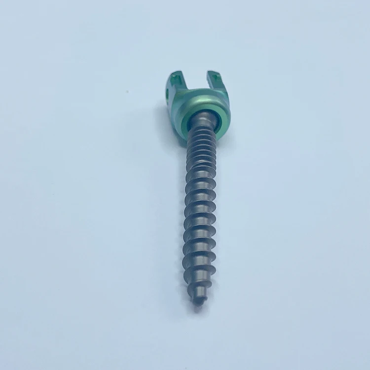 Pedicle Screw 4