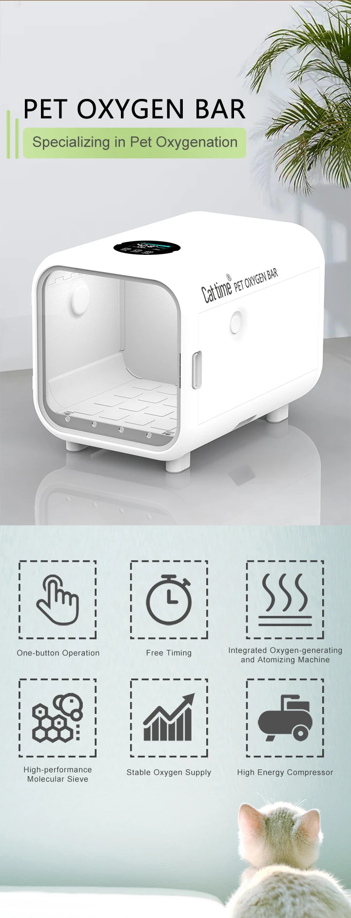Factory Price Animal Icu Cat Oxygen Chamber Pet Clinic Use Puppy Recovery for Dog Cat Hospital