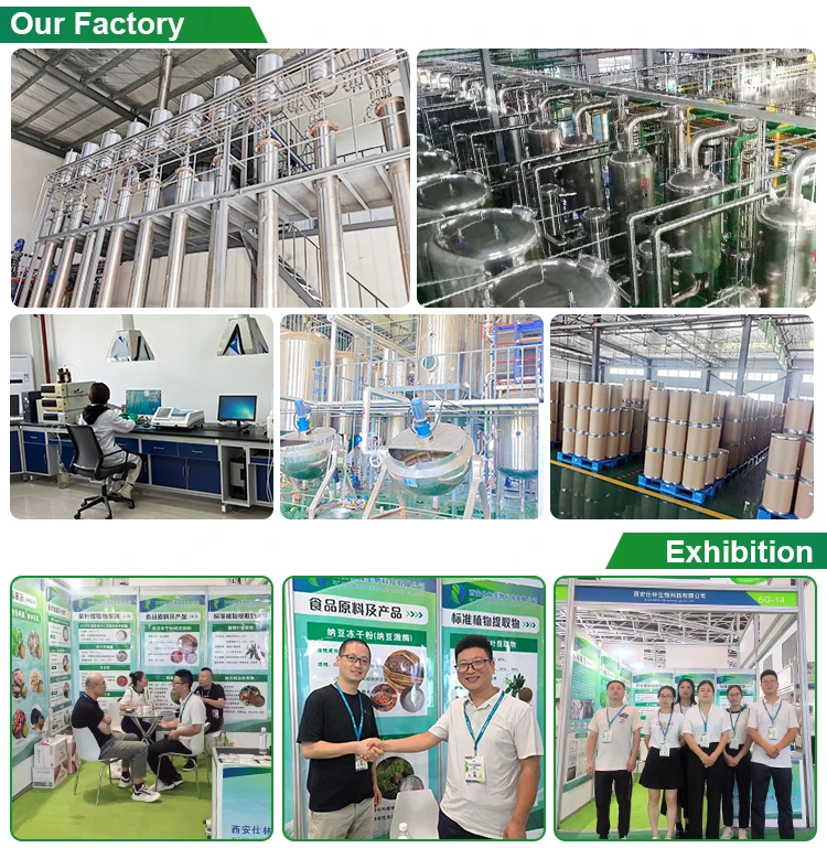 Xi'an Shilin Biotechnology Co., Ltd. 2