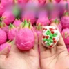 pitaya