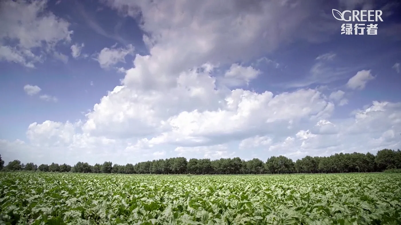 Qingdao Haofeng Kunsheng Modern Agricultural Development Co., Ltd. 3