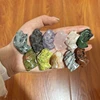 Cabeza de Dinosaurio