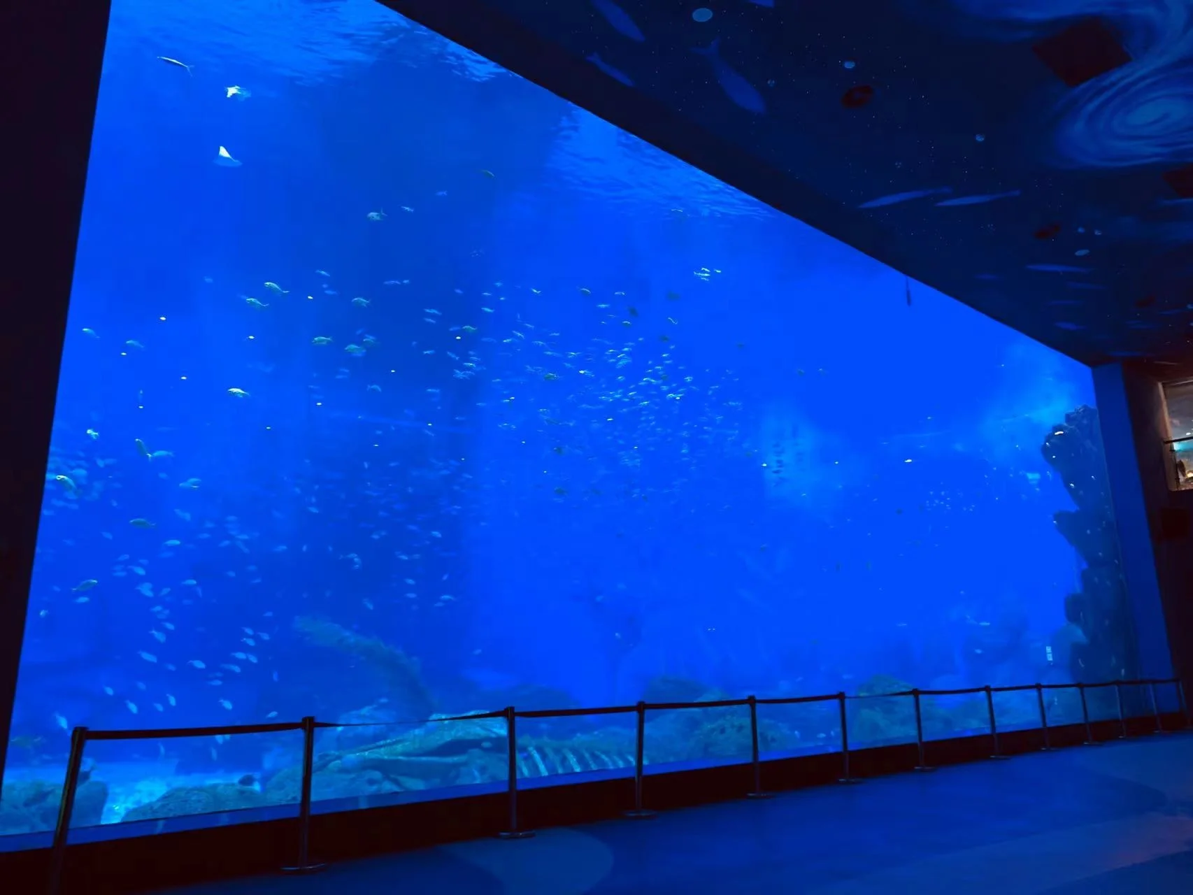 High Quality Transparent Acrylic Sheet Panel Aquarium Project Buy