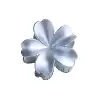 Argent métallique