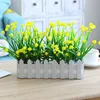 30 Baby's Breath, Milan Flower Yellow