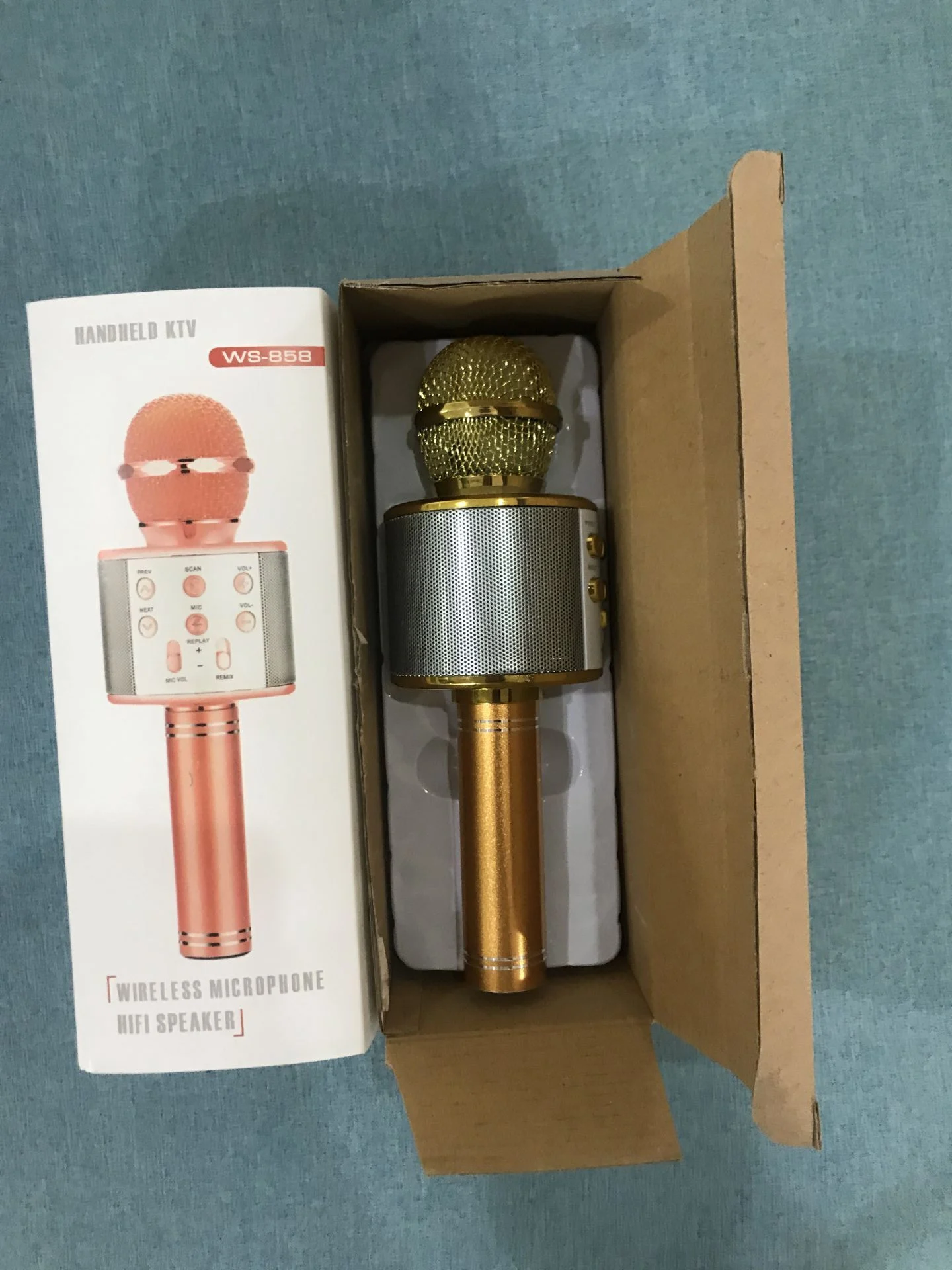 Karaoke microphone