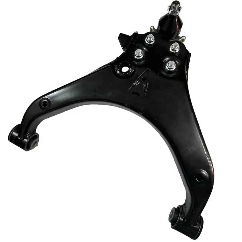 ゴッホ Shock-Absorber-Caprice-2007-