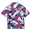 Fuchsia K