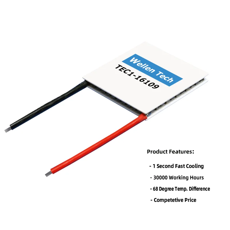 Peltier Modules Thermoelectric Kit System 16109 19V TEC for Car Refrigerator & Mini Refrigerator Semiconductors Product