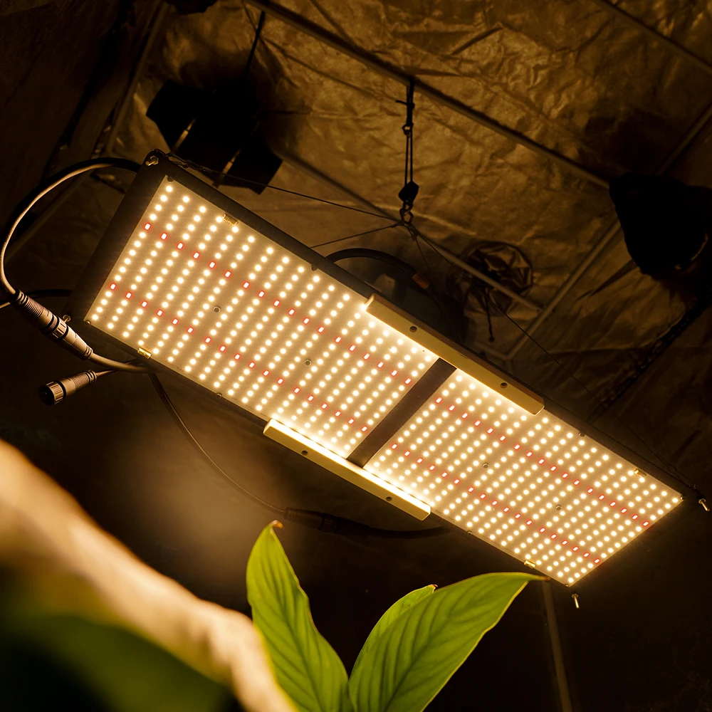 Meiju Samsung LM301B 240W Full Spectrum LED Grow Light for Medical