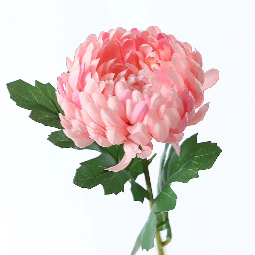 Scott# 5460 PINK CHRYSANTHEMUM GLOBAL FOREVER USED SINGLE