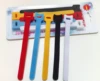 Cat type(Five color set)