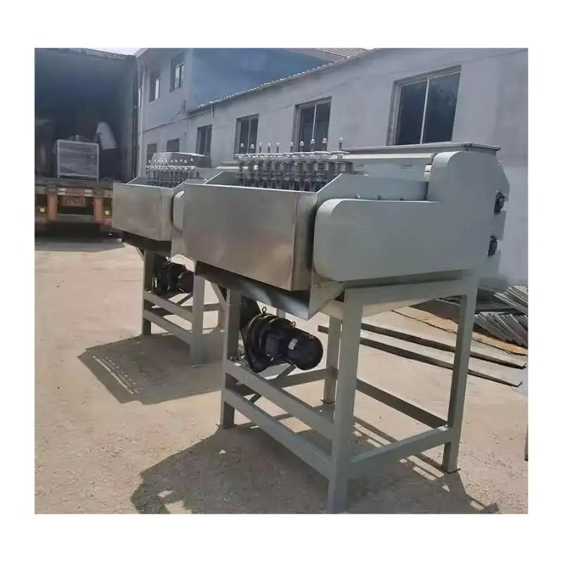 Walnut and Hazelnut Peeling and Cleaning Machine Stainless Steel Peeling Machine