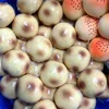 colorful 11 Potato