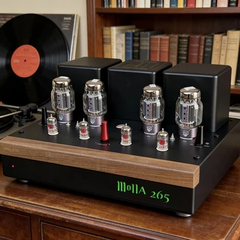 Mona Preferred 265 KT88 Push-Pull High Power Tube Dual Preamp