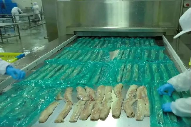 Customized Meat/Vegetable/Seafood Personal Tunnel Quick Freezer Industrial Iqf Freezer