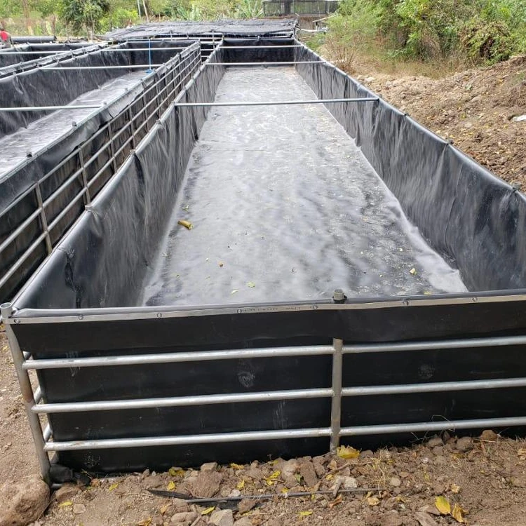 0.5mm 0.75mm 1mm hdpe geomembrane fish farm tank liner