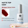 Matte top coat