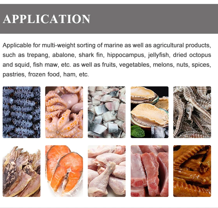 Industry Automatic Weight Sorting Machine Fish Weight Sorting Shrimp Weight Grader Seafood Fruits Vegetables Grading Machine